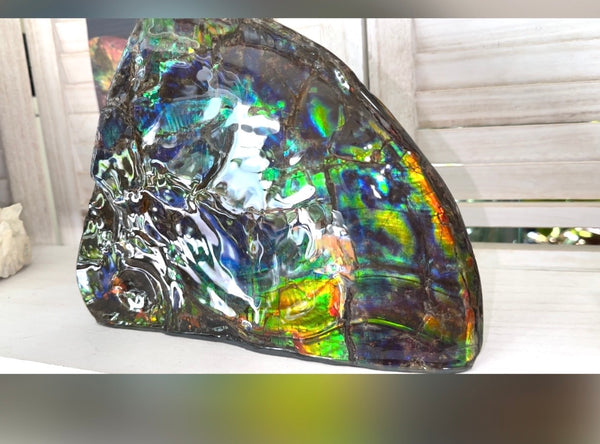 Make an offer! Ammolite ,Placenticeras costatum Section Piece,Double-Sided Rainbow, Specimen, Fossil,Ammonite, Collector Stone,Home decor,**FREE SHIPPING***　AF-132