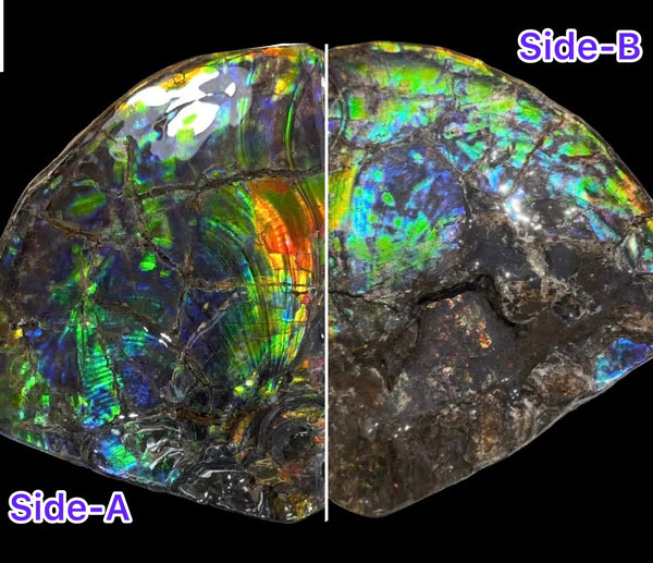 Make an offer! Ammolite ,Placenticeras costatum Section Piece,Double-Sided Rainbow, Specimen, Fossil,Ammonite, Collector Stone,Home decor,**FREE SHIPPING***　AF-132