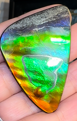 Imperial Rainbow! ,Ammolite, NATURAL Hand POLISHED Loose stone 47x32mmm Loose Gemstones,gemstone High Grade IMP103