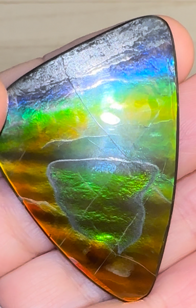 Imperial Rainbow! ,Ammolite, NATURAL Hand POLISHED Loose stone 47x32mmm Loose Gemstones,gemstone High Grade IMP103
