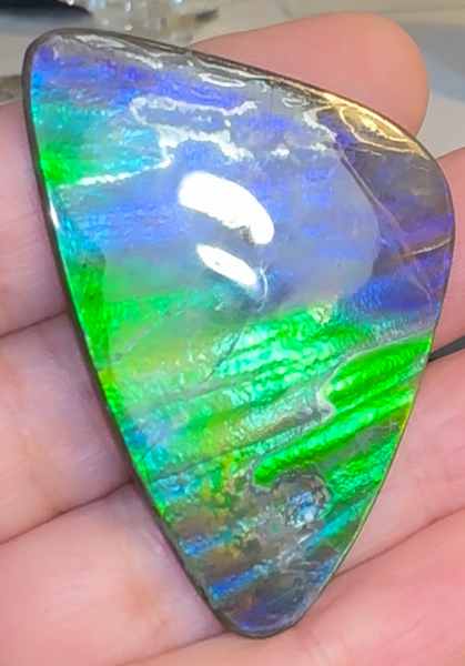 Imperial Rainbow! ,Ammolite, NATURAL Hand POLISHED Loose stone 47x32mmm Loose Gemstones,gemstone High Grade IMP103