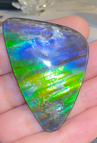 Imperial Rainbow! ,Ammolite, NATURAL Hand POLISHED Loose stone 47x32mmm Loose Gemstones,gemstone High Grade IMP103