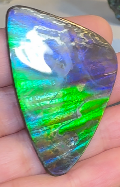 Imperial Rainbow! ,Ammolite, NATURAL Hand POLISHED Loose stone 47x32mmm Loose Gemstones,gemstone High Grade IMP103