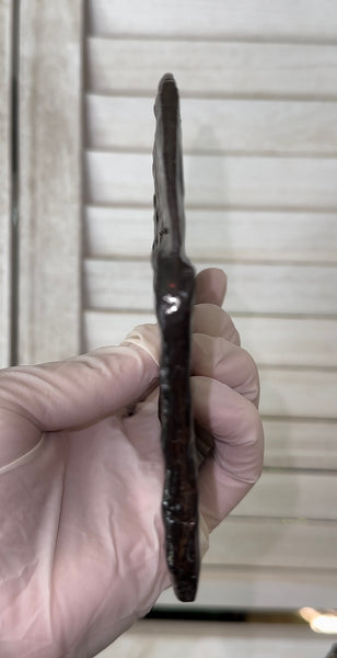 5.55" Ammolite Placenticeras Intercalare ***Free Shipping***  AF-114 Ammolite  Ammonite Fossil