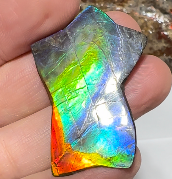High Grade,Star shaped! Imperial Rainbow! ,Ammolite, NATURAL Hand POLISHED Loose stone Loose Gemstones,gemstone High Grade IMP104  FREE SHIPPING