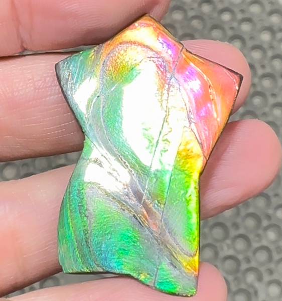 High Grade,Star shaped! Imperial Rainbow! ,Ammolite, NATURAL Hand POLISHED Loose stone Loose Gemstones,gemstone High Grade IMP104  FREE SHIPPING