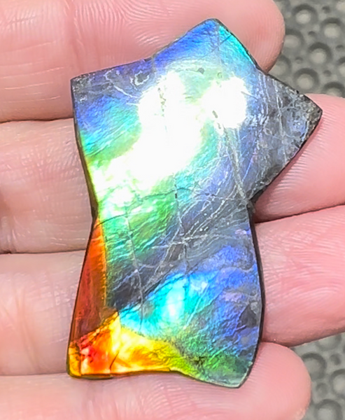 High Grade,Star shaped! Imperial Rainbow! ,Ammolite, NATURAL Hand POLISHED Loose stone Loose Gemstones,gemstone High Grade IMP104  FREE SHIPPING
