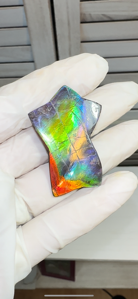 High Grade,Star shaped! Imperial Rainbow! ,Ammolite, NATURAL Hand POLISHED Loose stone Loose Gemstones,gemstone High Grade IMP104  FREE SHIPPING