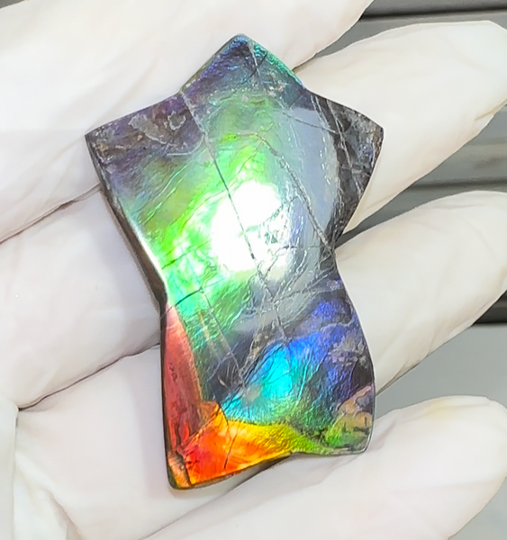 High Grade,Star shaped! Imperial Rainbow! ,Ammolite, NATURAL Hand POLISHED Loose stone Loose Gemstones,gemstone High Grade IMP104  FREE SHIPPING