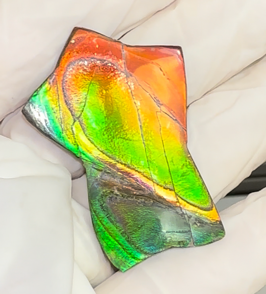 High Grade,Star shaped! Imperial Rainbow! ,Ammolite, NATURAL Hand POLISHED Loose stone Loose Gemstones,gemstone High Grade IMP104  FREE SHIPPING