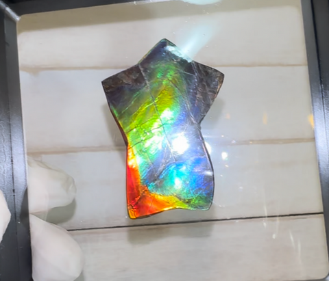 High Grade,Star shaped! Imperial Rainbow! ,Ammolite, NATURAL Hand POLISHED Loose stone Loose Gemstones,gemstone High Grade IMP104  FREE SHIPPING