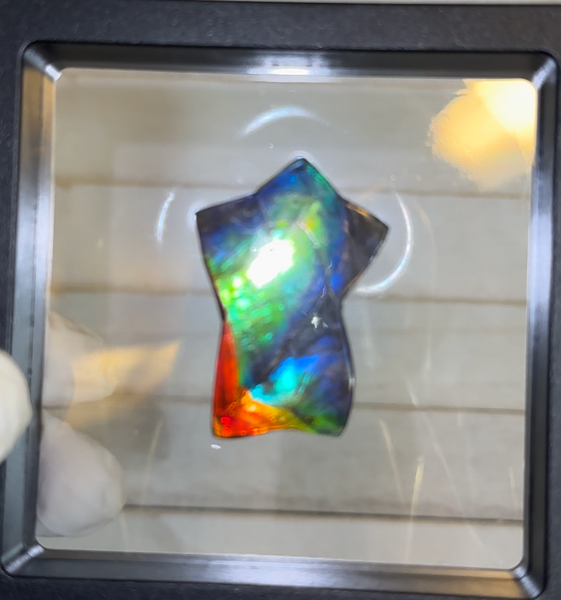 High Grade,Star shaped! Imperial Rainbow! ,Ammolite, NATURAL Hand POLISHED Loose stone Loose Gemstones,gemstone High Grade IMP104  FREE SHIPPING