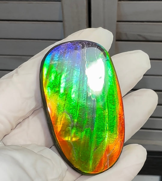 HIgh grade Ammolite with a horn, NATURAL Hand POLISHED, Loose stone  54x32.4mm Loose Gemstones,gemstone FFNT195 Free shipping!