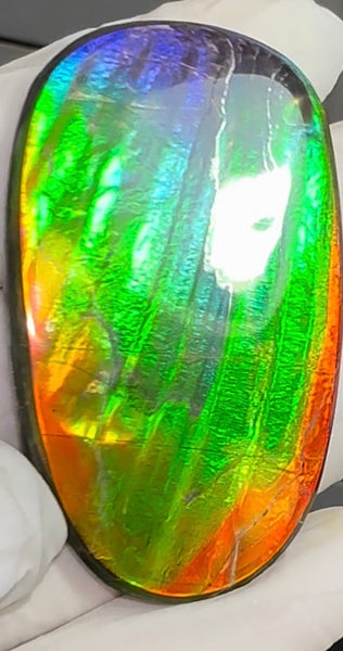 HIgh grade Ammolite with a horn, NATURAL Hand POLISHED, Loose stone  54x32.4mm Loose Gemstones,gemstone FFNT195 Free shipping!