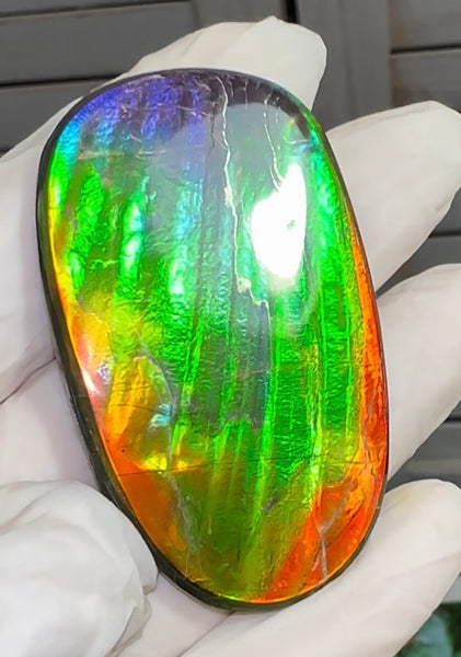 HIgh grade Ammolite with a horn, NATURAL Hand POLISHED, Loose stone  54x32.4mm Loose Gemstones,gemstone FFNT195 Free shipping!
