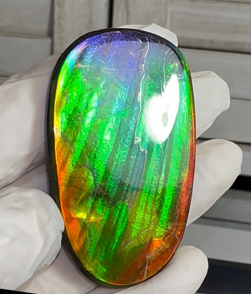 HIgh grade Ammolite with a horn, NATURAL Hand POLISHED, Loose stone  54x32.4mm Loose Gemstones,gemstone FFNT195 Free shipping!