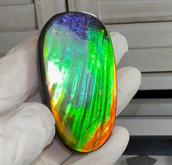 HIgh grade Ammolite with a horn, NATURAL Hand POLISHED, Loose stone  54x32.4mm Loose Gemstones,gemstone FFNT195 Free shipping!