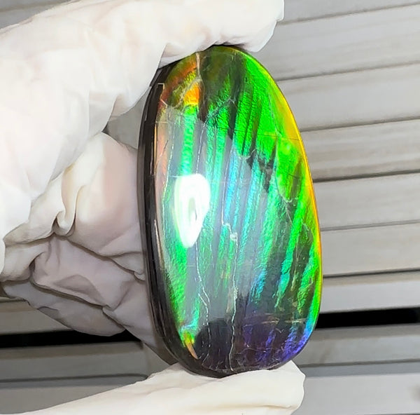HIgh grade Ammolite with a horn, NATURAL Hand POLISHED, Loose stone  54x32.4mm Loose Gemstones,gemstone FFNT195 Free shipping!