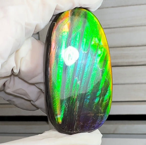 HIgh grade Ammolite with a horn, NATURAL Hand POLISHED, Loose stone  54x32.4mm Loose Gemstones,gemstone FFNT195 Free shipping!