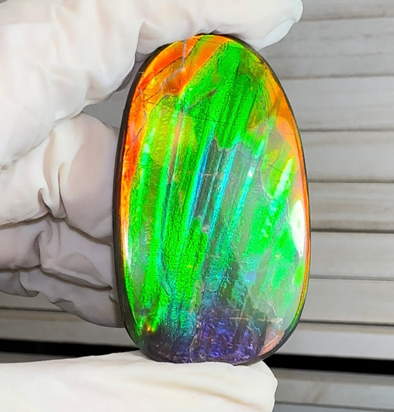 HIgh grade Ammolite with a horn, NATURAL Hand POLISHED, Loose stone  54x32.4mm Loose Gemstones,gemstone FFNT195 Free shipping!