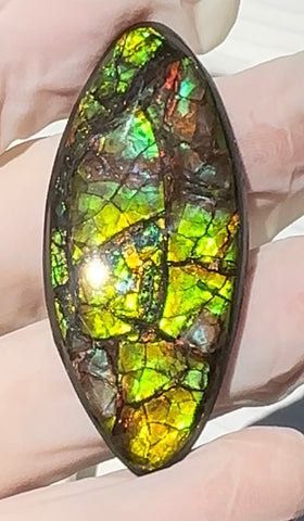 Rainbow colors,Loose Stone, Ammolite,Freeform, Cabochon51x23mm,  Loose gemstone Canadian Ammonite,wrapping jewellery,FC-202