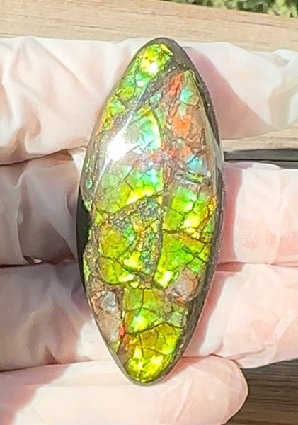 Rainbow colors,Loose Stone, Ammolite,Freeform, Cabochon51x23mm,  Loose gemstone Canadian Ammonite,wrapping jewellery,FC-202