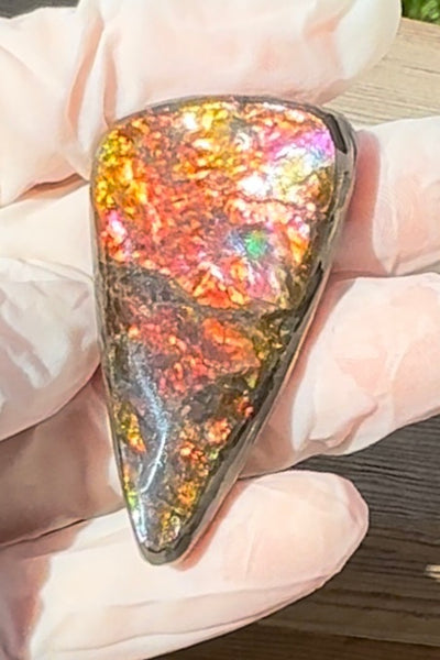 Loose Stone, Ammolite,Freeform, Cabochon46x26mm,  Loose gemstone Canadian Ammonite,wrapping jewellery,FC-198