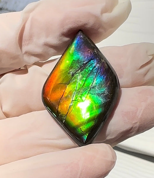 Rainbow colors,Loose Stone, Ammolite,Freeform, Cabochon36.9x24mm,  Loose gemstone Canadian Ammonite,wrapping jewellery,FC-201