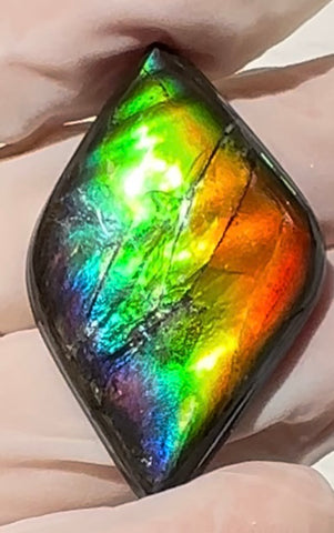 Rainbow colors,Loose Stone, Ammolite,Freeform, Cabochon36.9x24mm,  Loose gemstone Canadian Ammonite,wrapping jewellery,FC-201
