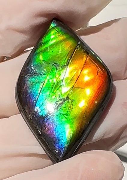 Rainbow colors,Loose Stone, Ammolite,Freeform, Cabochon36.9x24mm,  Loose gemstone Canadian Ammonite,wrapping jewellery,FC-201