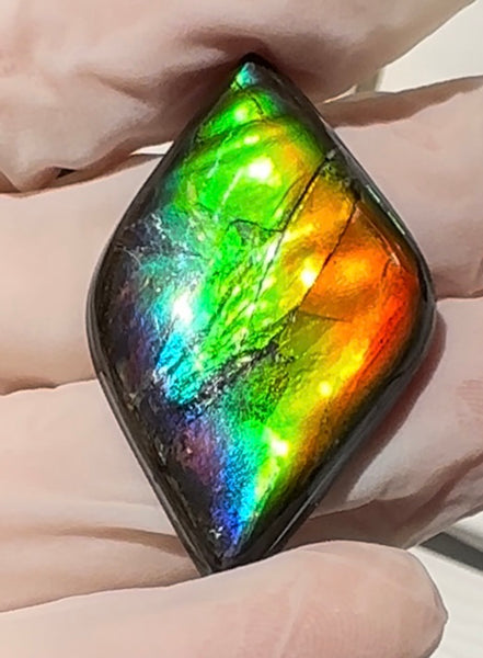 Rainbow colors,Loose Stone, Ammolite,Freeform, Cabochon36.9x24mm,  Loose gemstone Canadian Ammonite,wrapping jewellery,FC-201