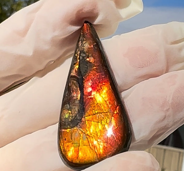 Loose Stone, Ammolite,Freeform, Cabochon44x20mm,  Loose gemstone Canadian Ammonite,wrapping jewellery,FC-200