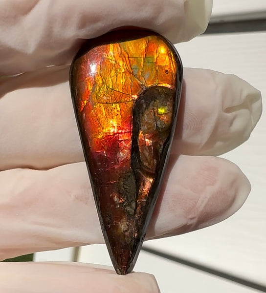 Loose Stone, Ammolite,Freeform, Cabochon44x20mm,  Loose gemstone Canadian Ammonite,wrapping jewellery,FC-200