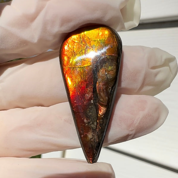 Loose Stone, Ammolite,Freeform, Cabochon44x20mm,  Loose gemstone Canadian Ammonite,wrapping jewellery,FC-200