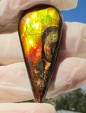 Loose Stone, Ammolite,Freeform, Cabochon44x20mm,  Loose gemstone Canadian Ammonite,wrapping jewellery,FC-200