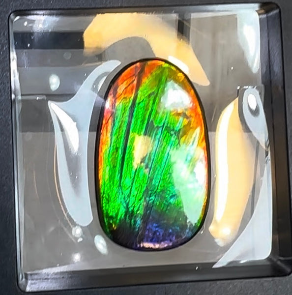 HIgh grade Ammolite with a horn, NATURAL Hand POLISHED, Loose stone  54x32.4mm Loose Gemstones,gemstone FFNT195 Free shipping!