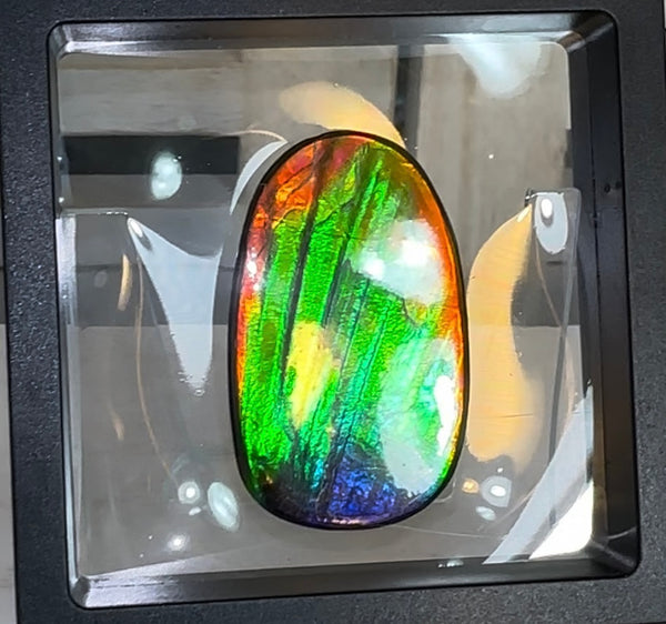 HIgh grade Ammolite with a horn, NATURAL Hand POLISHED, Loose stone  54x32.4mm Loose Gemstones,gemstone FFNT195 Free shipping!