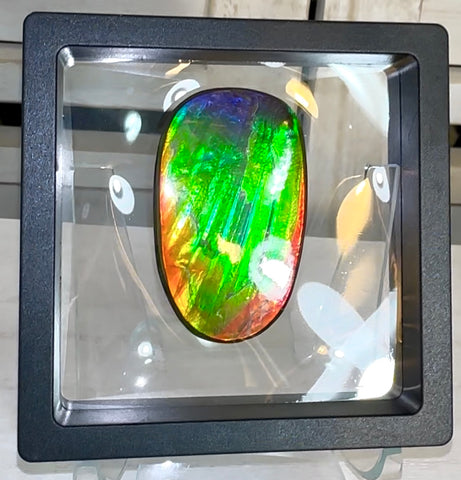 HIgh grade Ammolite with a horn, NATURAL Hand POLISHED, Loose stone  54x32.4mm Loose Gemstones,gemstone FFNT195 Free shipping!