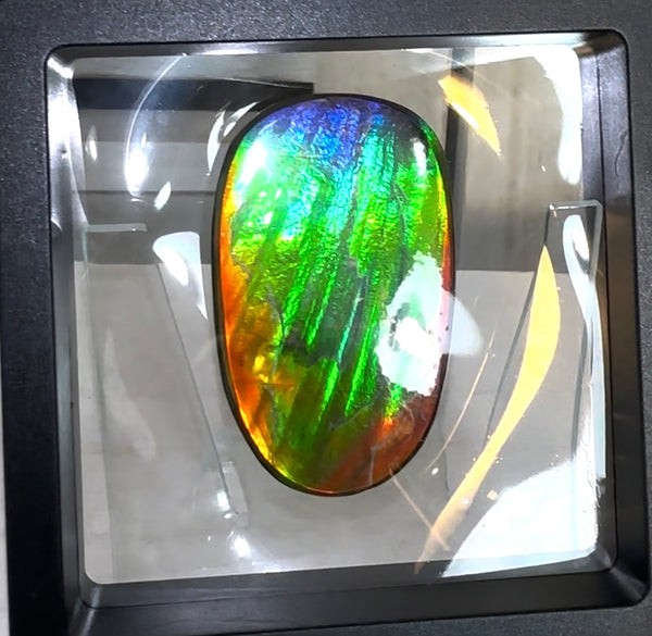 HIgh grade Ammolite with a horn, NATURAL Hand POLISHED, Loose stone  54x32.4mm Loose Gemstones,gemstone FFNT195 Free shipping!