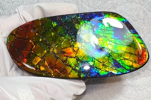 AAA grade,Rainbow colors,Ammolite Display Stone,Handheld Beautiful Specimen,Fossil,Metaphysical,Home Decor,Alberta fossil CS-259,Free shipping!