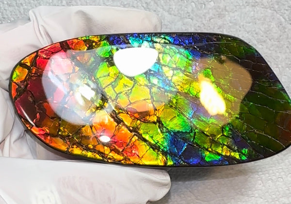 AAA grade,Rainbow colors,Ammolite Display Stone,Handheld Beautiful Specimen,Fossil,Metaphysical,Home Decor,Alberta fossil CS-259,Free shipping!