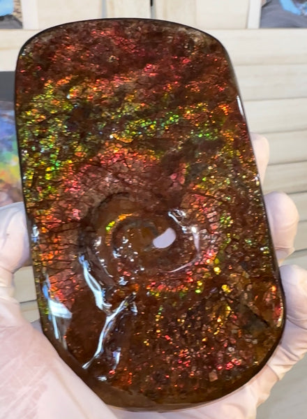 Swirl piece,Rainbow colors,Ammolite Display Stone,Handheld Beautiful Specimen,Fossil,Metaphysical,Home Decor,Alberta fossil CS-261 Free shipping