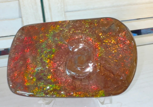 Swirl piece,Rainbow colors,Ammolite Display Stone,Handheld Beautiful Specimen,Fossil,Metaphysical,Home Decor,Alberta fossil CS-261 Free shipping