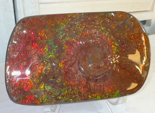 Swirl piece,Rainbow colors,Ammolite Display Stone,Handheld Beautiful Specimen,Fossil,Metaphysical,Home Decor,Alberta fossil CS-261 Free shipping