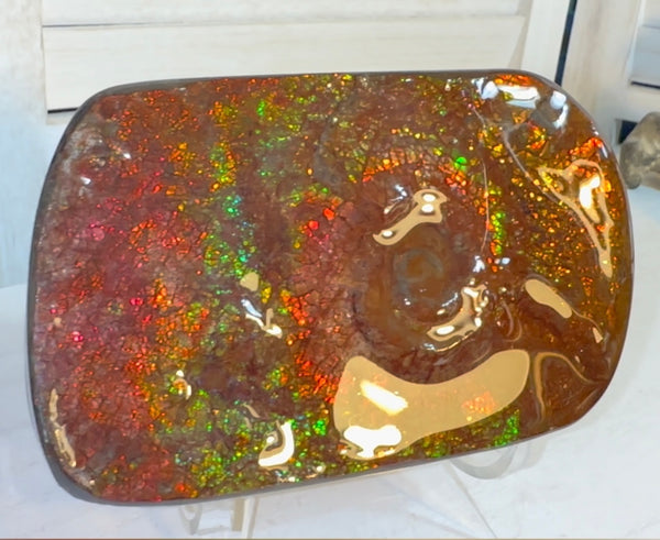 Swirl piece,Rainbow colors,Ammolite Display Stone,Handheld Beautiful Specimen,Fossil,Metaphysical,Home Decor,Alberta fossil CS-261 Free shipping