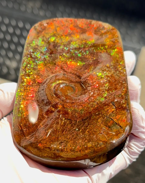 Swirl piece,Rainbow colors,Ammolite Display Stone,Handheld Beautiful Specimen,Fossil,Metaphysical,Home Decor,Alberta fossil CS-261 Free shipping