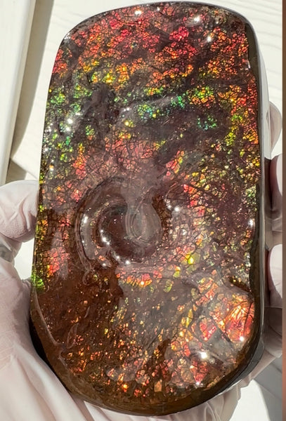 Swirl piece,Rainbow colors,Ammolite Display Stone,Handheld Beautiful Specimen,Fossil,Metaphysical,Home Decor,Alberta fossil CS-261 Free shipping