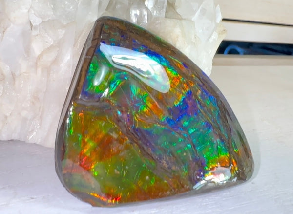 Rainbow colors,Ammolite Display Stone,Handheld Beautiful Specimen,Fossil,Metaphysical,Home Decor,Alberta fossil CS-260