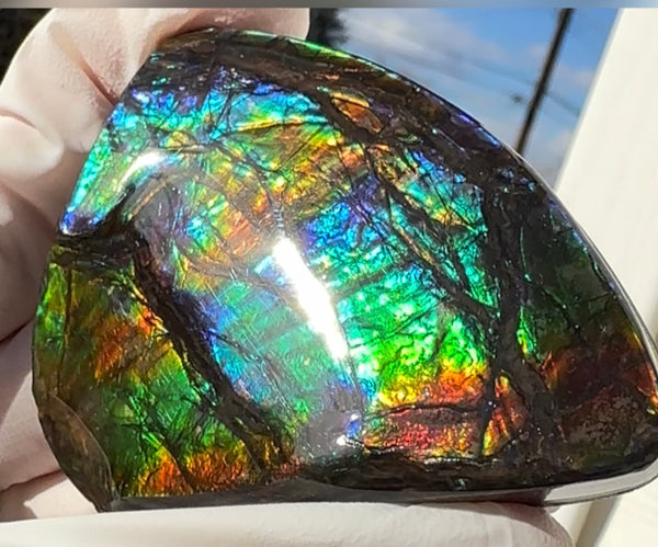 Rainbow colors,Ammolite Display Stone,Handheld Beautiful Specimen,Fossil,Metaphysical,Home Decor,Alberta fossil CS-260