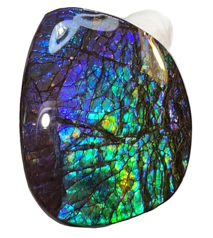 Vibrant purple! Loose stone, high grade rainbow color,Ammolite,Freeform, Cabochon 54x45mm,gemstone Canadian Ammonite,wrapping jewellery,Purple,Blue,Green. FC-274